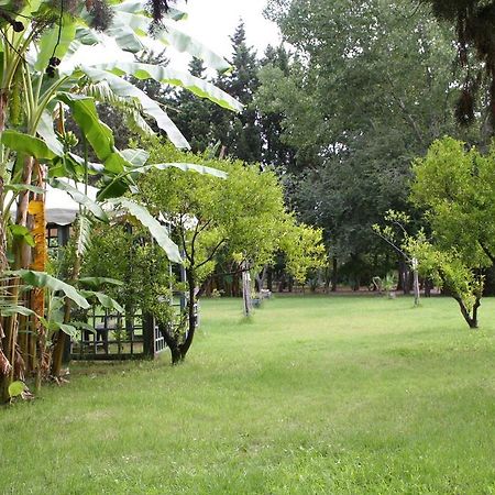 Villette Vacanze Bivona Bivona  Номер фото