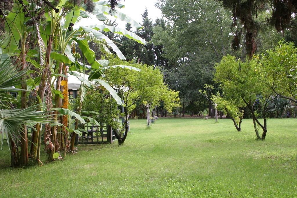 Villette Vacanze Bivona Bivona  Номер фото