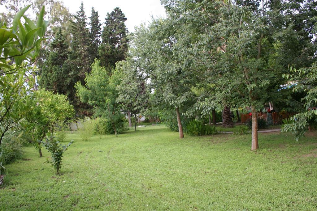Villette Vacanze Bivona Bivona  Номер фото